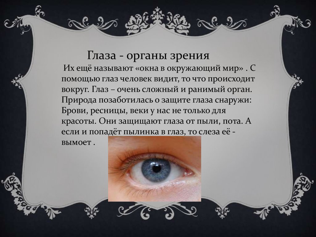 Глаза звали. Доклад на тему глаз. С помощью глаз человек может видеть. Глаза орган зрения текст. С помощью чего наша глаза видит.