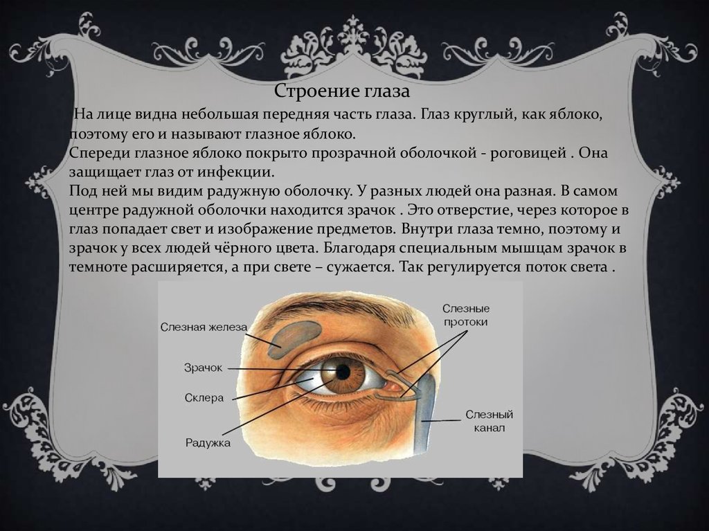 Определение глазки