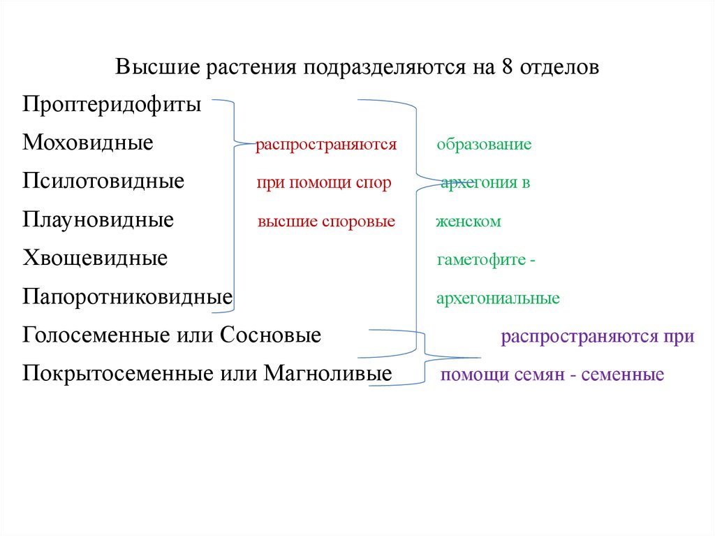 Высшие споры растений. Растения подразделяются на. Высшие растения подразделяют на. На что подразделяются отделы растений. Каждый отдел растений подразделяют на.