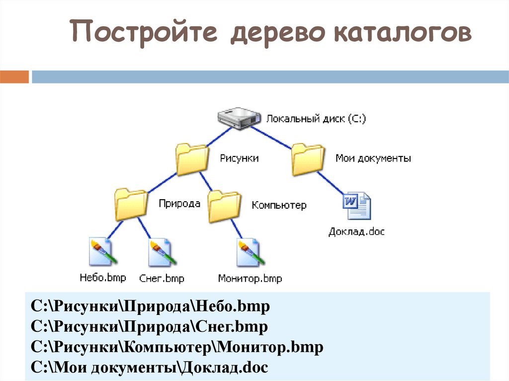 Дерево файлов каталогов. 