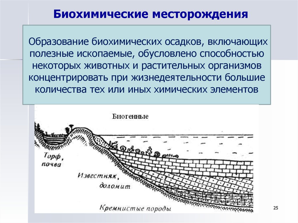 Месторождения осадочных пород