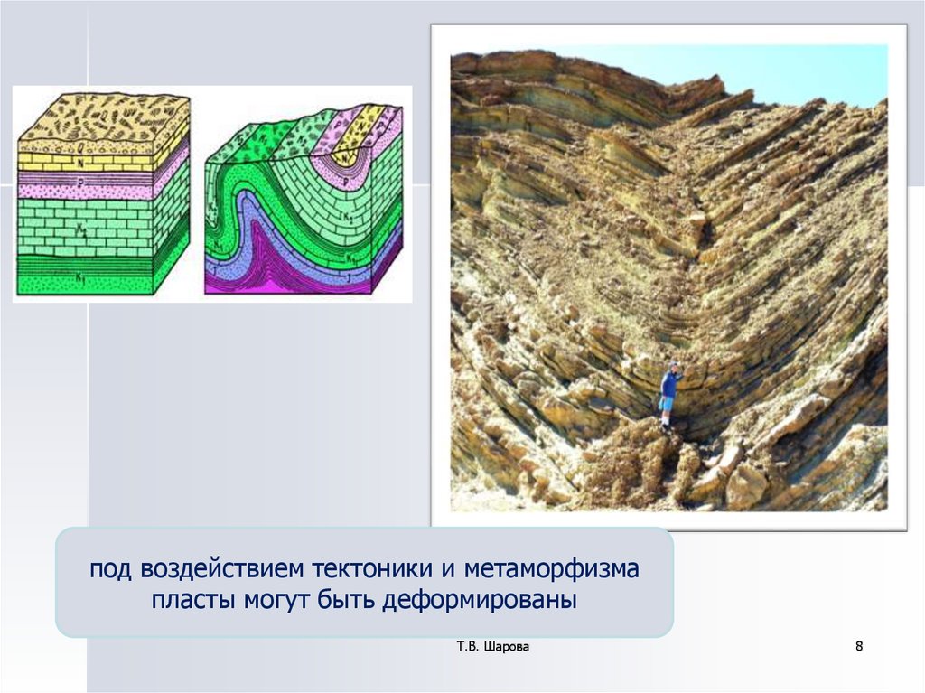 Формирование осадочных пород. Осадочные месторождения. Осадочные отложения. Месторождения осадочных пород. Горная порода месторождение.