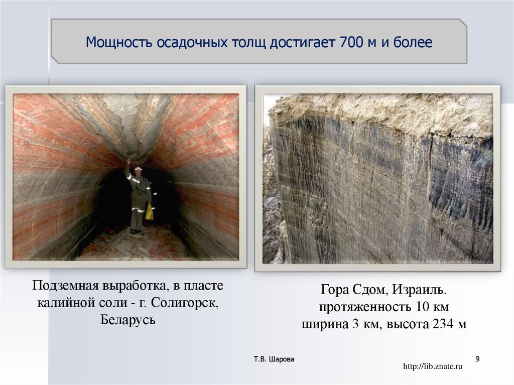 Толщ. Осадочные месторождения. Группа осадочных месторождений. Биохимические осадочные месторождения. Осадочные месторождения типы.