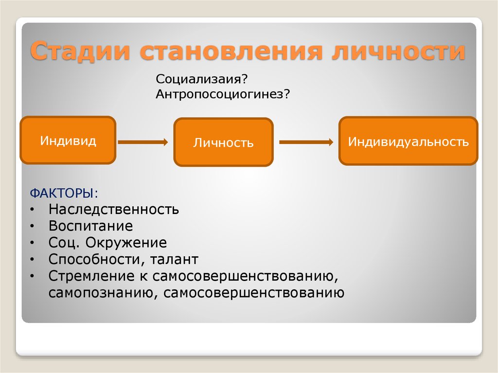 Виды формирования личности. Фазы становления личности Обществознание 8 класс. Стадии становления личности. Этапы формирования личности. Фазы формирования личности.