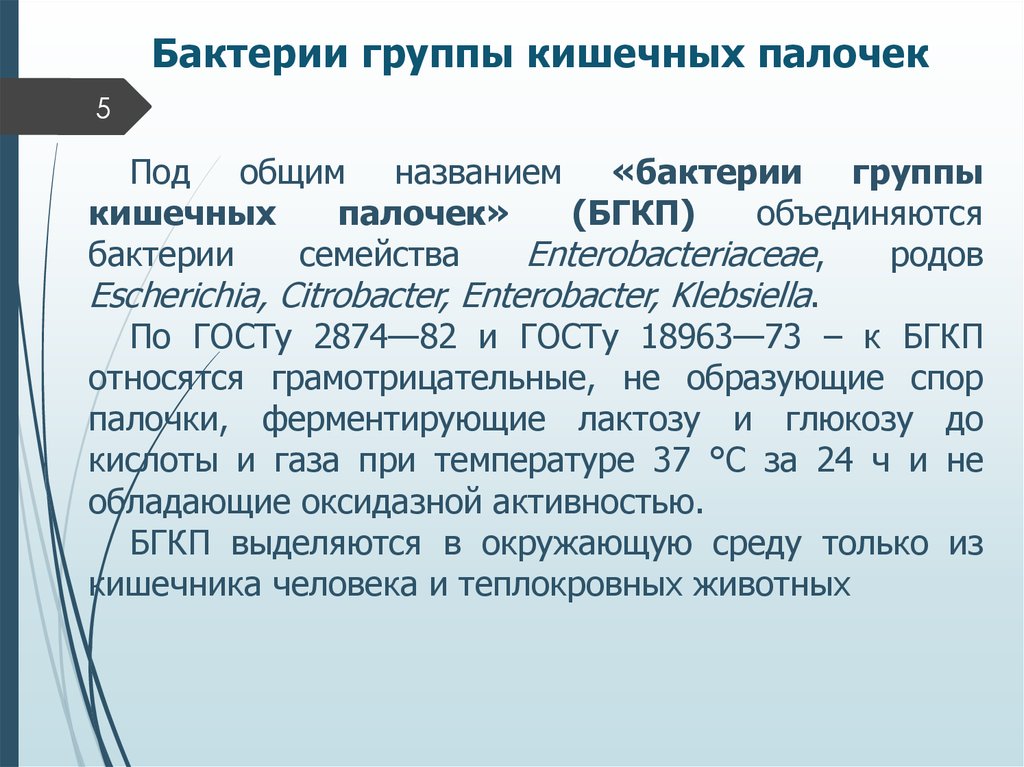 Кишечная группа бактерий. 3.Escherichia coli - кишечная палочка. Что относится к БГКП. Бактерии группы кишечной палочки относятся. Кишечная группа микроорганизмов.