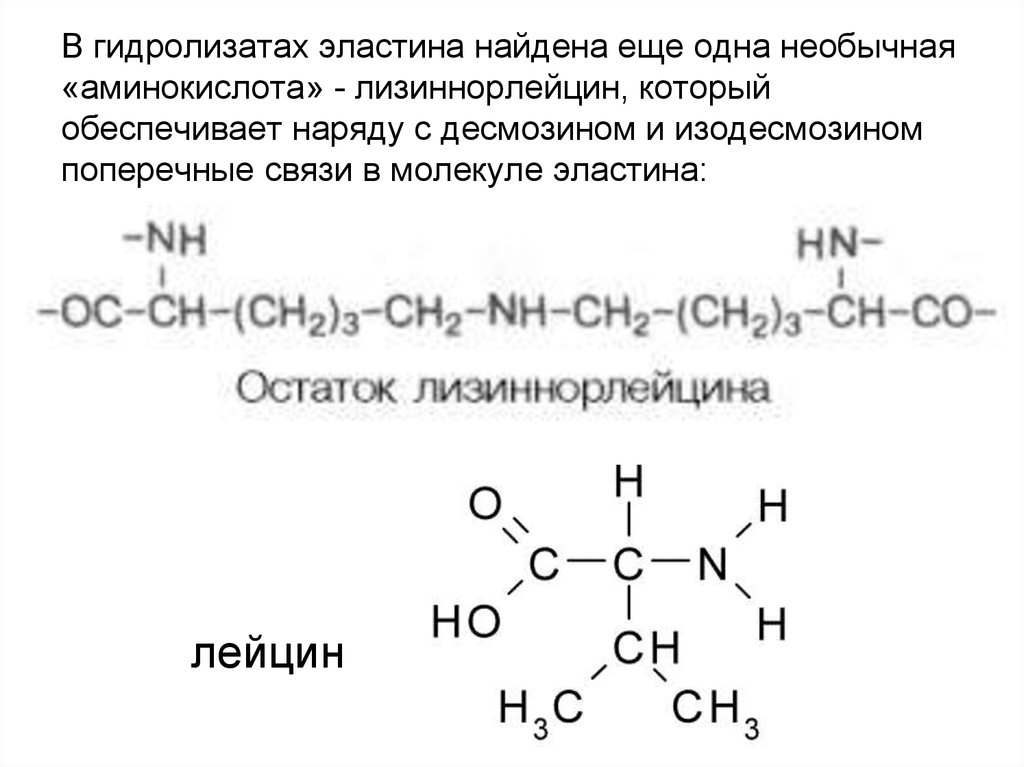 Аминокислота эластин. Лизиннорлейцин. Лизиннорлейцин формула. Лизиннорлейцин биохимия. Строение лизиннорлейцина..