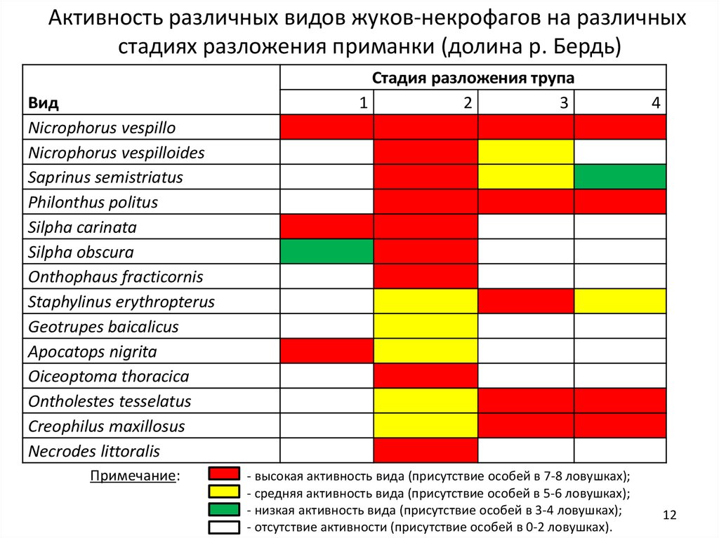 Вид присутствие