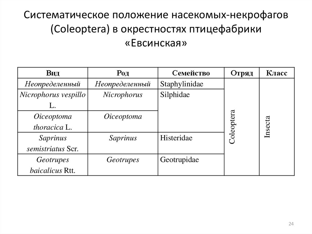 Систематическое положение насекомых-некрофагов (Coleoptera) в окрестностях птицефабрики «Евсинская»