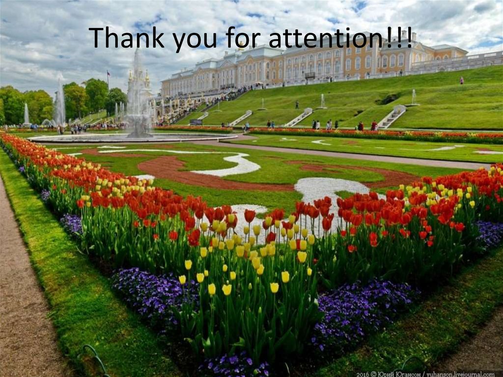 Thank you for attention!!!