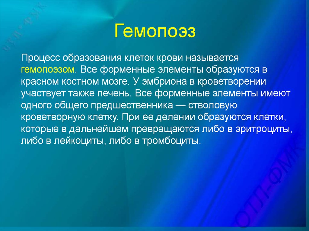 Участвует в образовании клеточной. Как называется процесс образования клетки. Процесс образования крови называется. Процесс образования клеток гомофесс. Гемопоэз.