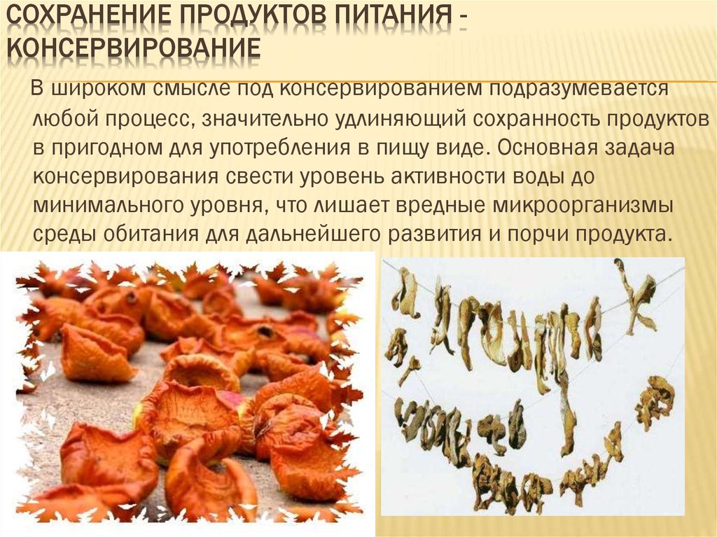 Сохранение продуктов питания проект