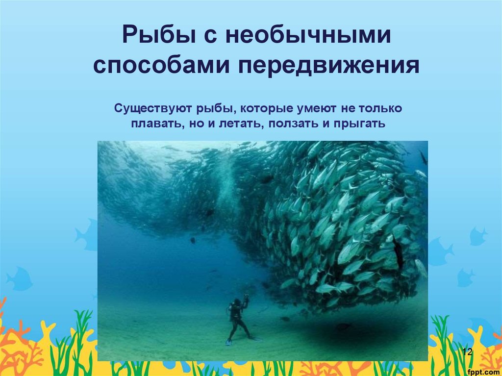 Способы рыб. Способы передвижения рыб. Способ перемещения рыб. Способы передвижения рыб животных. Способ передвижения класс рыбы.