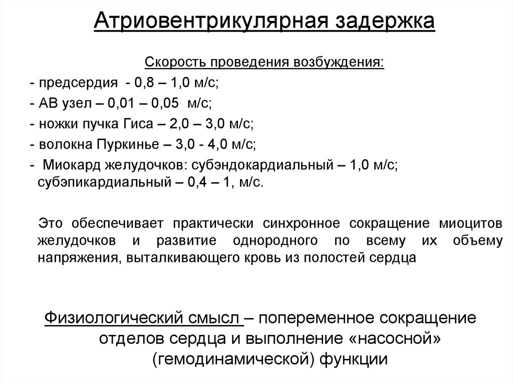 Скорость проведения. Атриовентрикулярная задержка. Значение атриовентрикулярной задержки. Атриовентрикулярная задержка проведения. Роль атриовентрикулярной задержки.