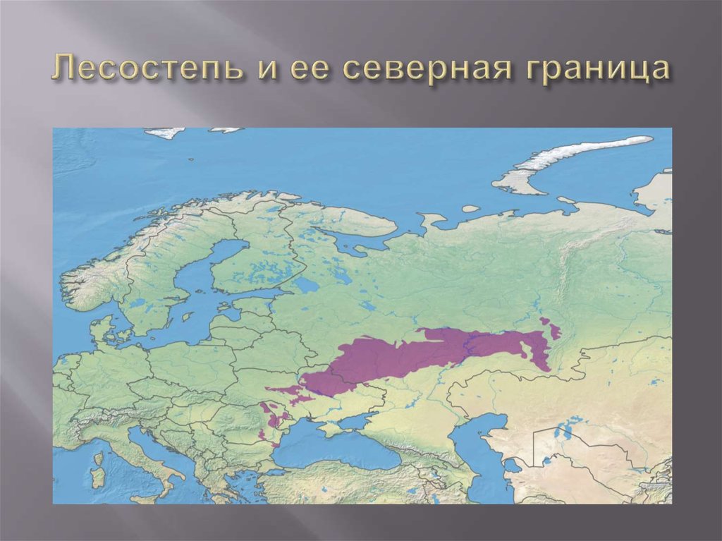 Карта лесостепи россии