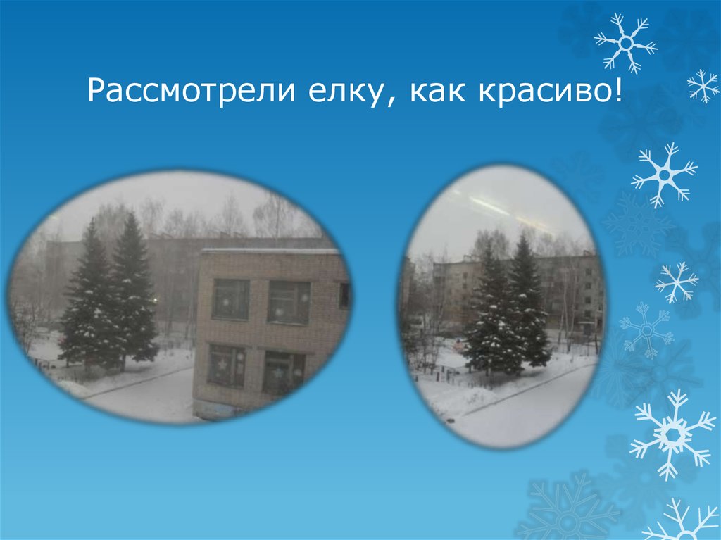 Рассмотрели елку, как красиво!