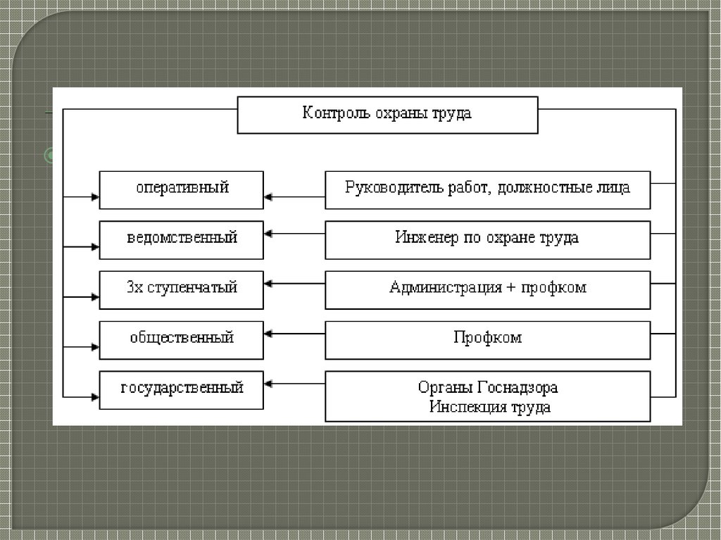 Область контроля. Контроль охраны труда. Виды контроля охраны труда. Схема контроля охраны труда. Государственный надзор и контроль за охраной труда.