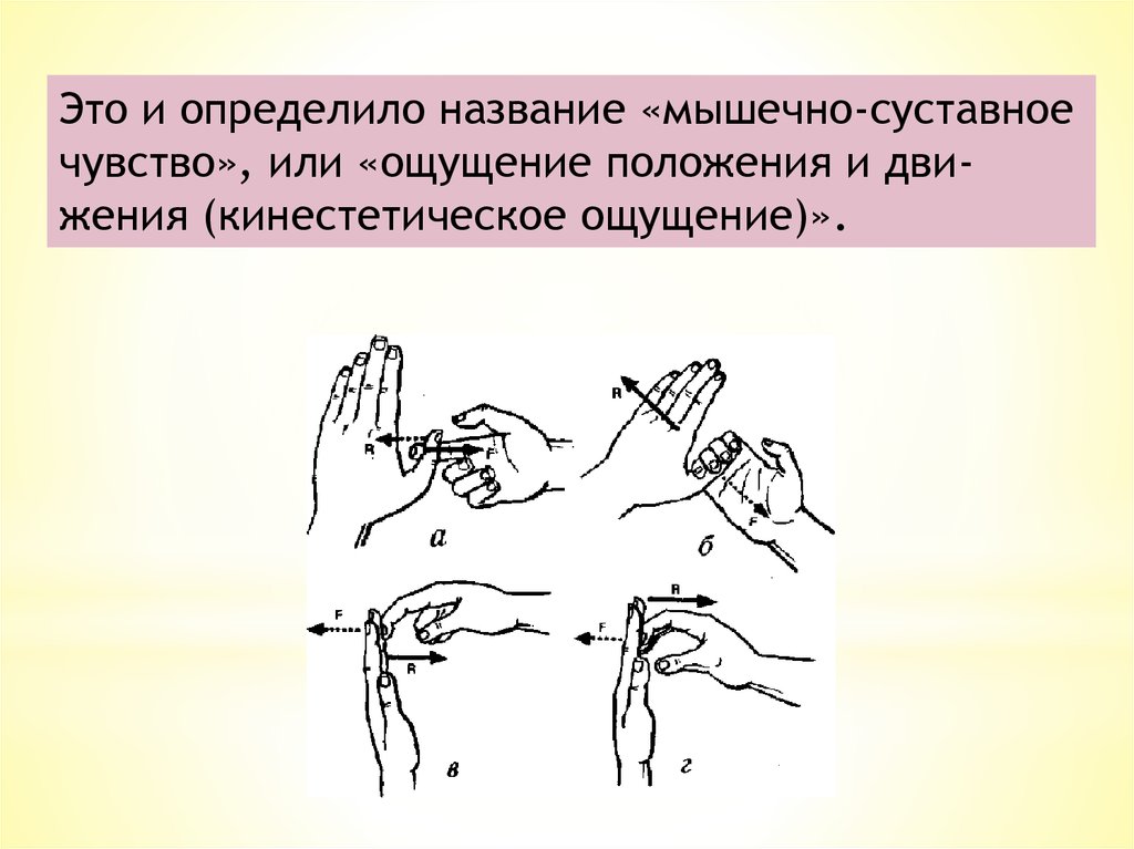 Чувство положения. Мышечно суставного чувства. Мышечно-суставная чувствительность. Суставно мышечные ощущения.