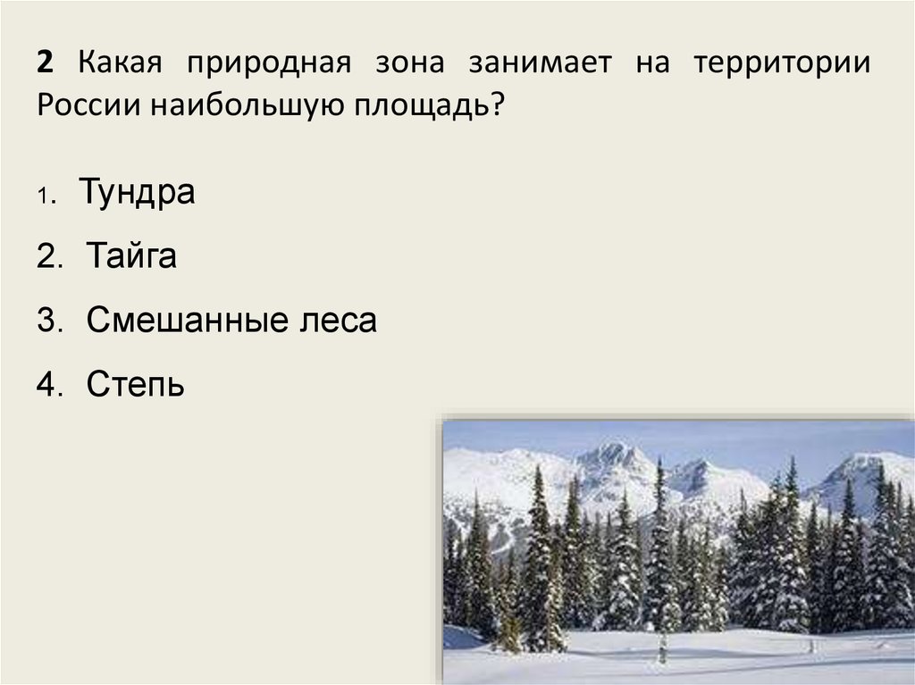 Узнай природную зону по ее описанию