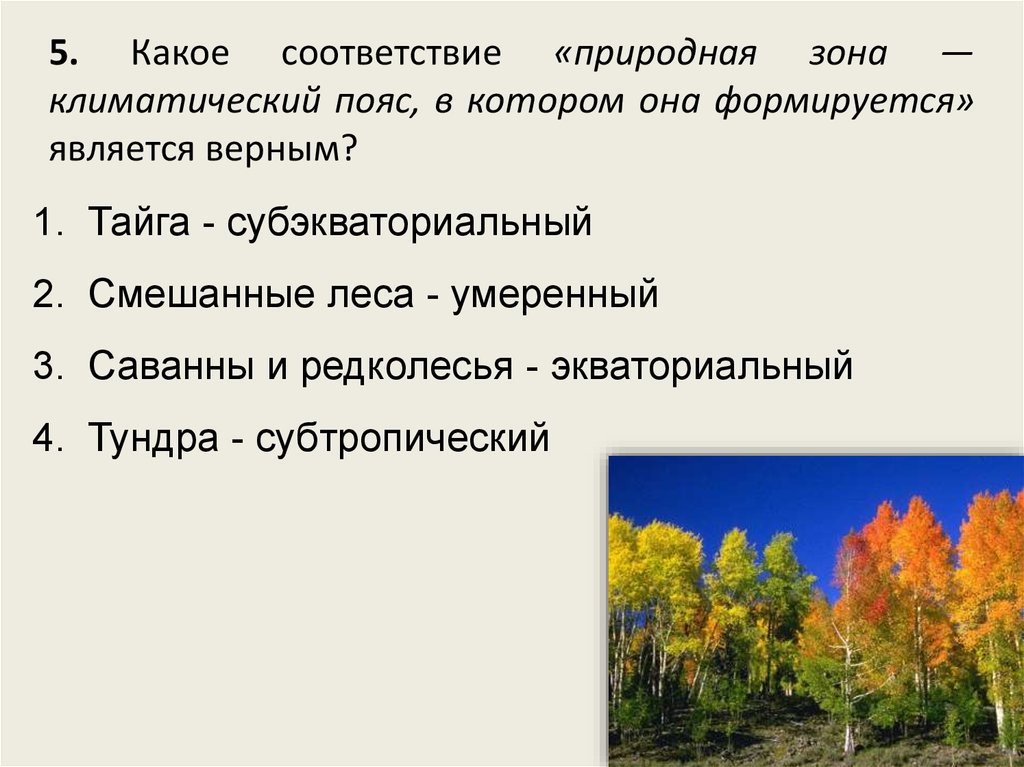 Узнай природную зону по ее описанию