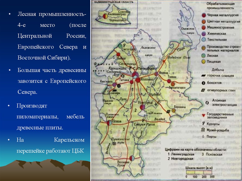 С помощью диаграммы покажите отраслевую структуру хозяйства региона европейского севера