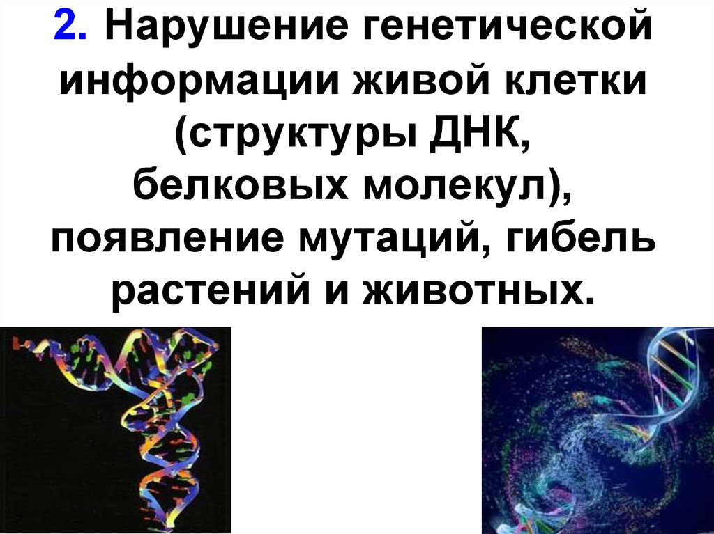 Наследственная информация ген. Генетическая информация. Генетическая информация живых организмов.