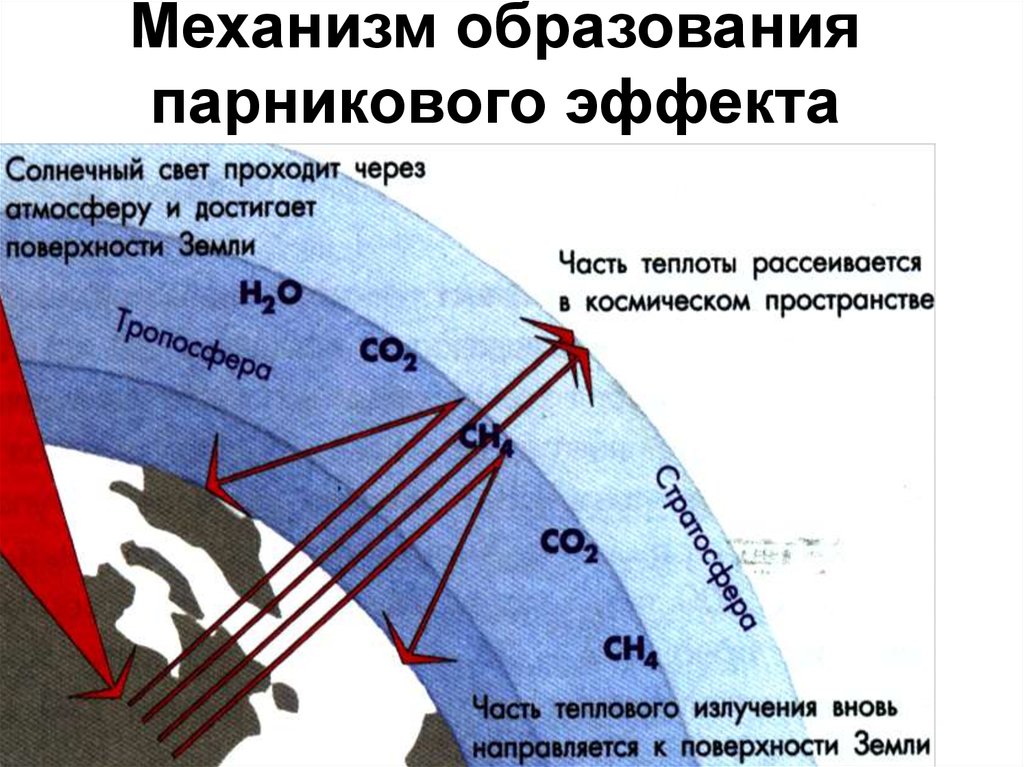 Парниковый эффект схема рисунок