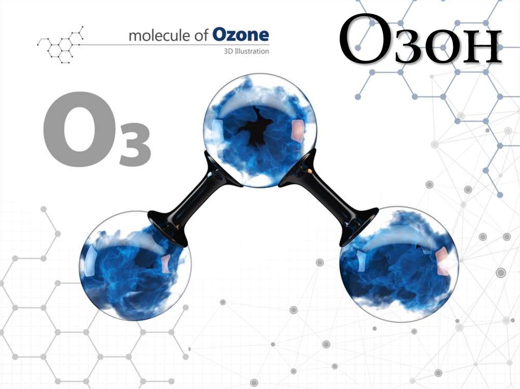 Пропорции фото для озон
