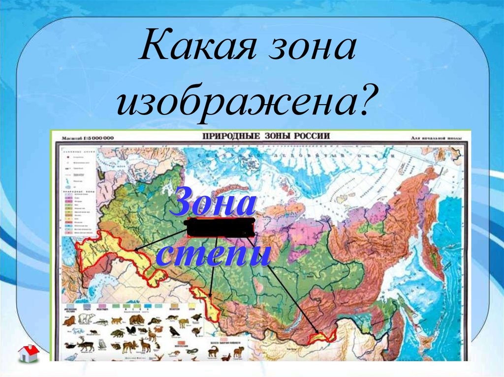 Какая природная зона в красноярском крае. Какая природная зона изображена на картинке. Природные зоны России Ледяная зона. Степи на карте России природных зон. Природные зоны РФ Ледяная зона плакаты.