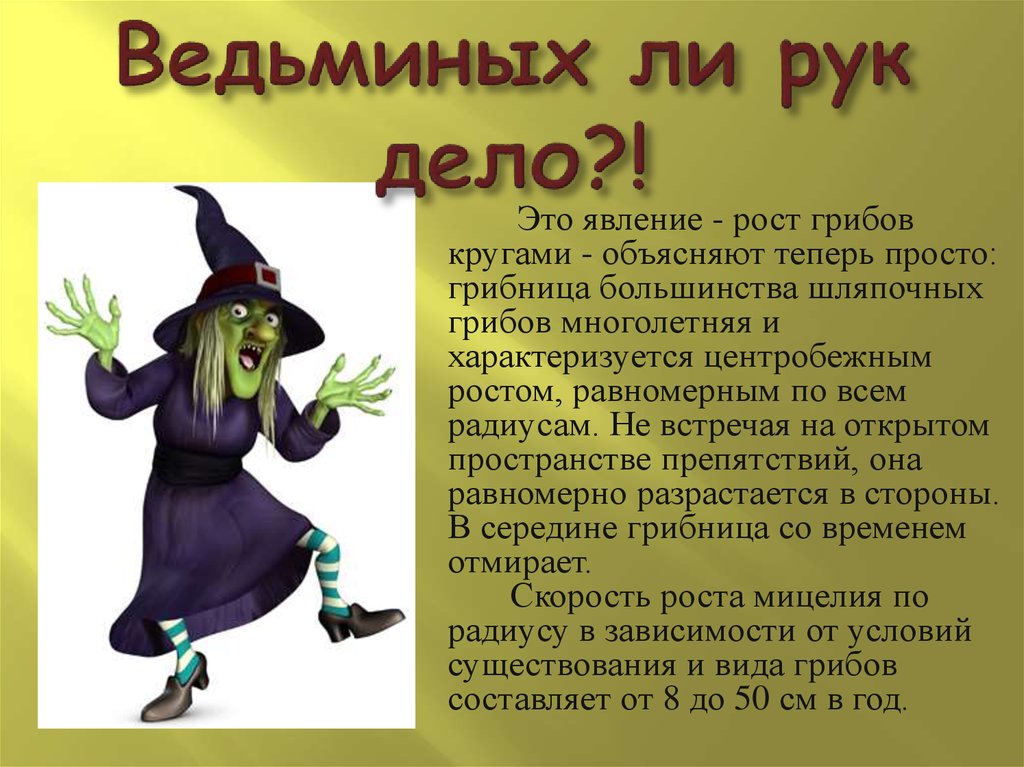 Ведьминых ли рук дело?!