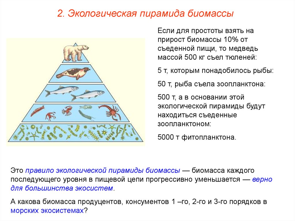 Используя правило экологической пирамиды определите массу