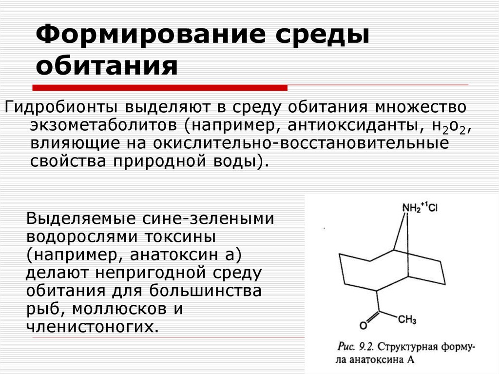 Среда формирования. Экзометаболиты примеры. Экзометаболиты. Экзометаболиты человека.