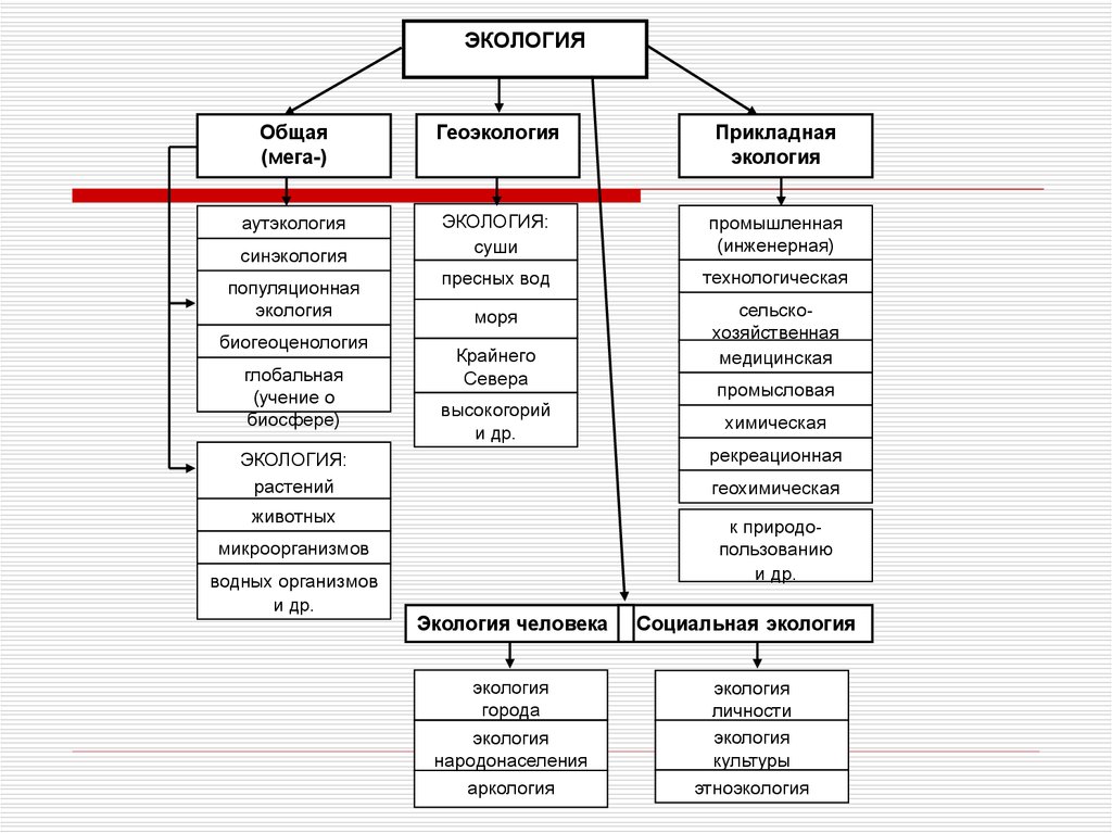 Разделы экологии аутэкология