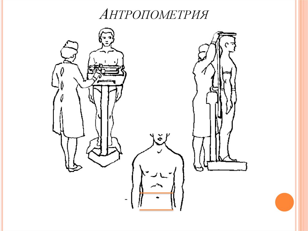 Антропометрия это. Антропометрические данные измерение. Антропометрия измерение тела. Антропометрия измерение роста. Измерения человека антропометрия.