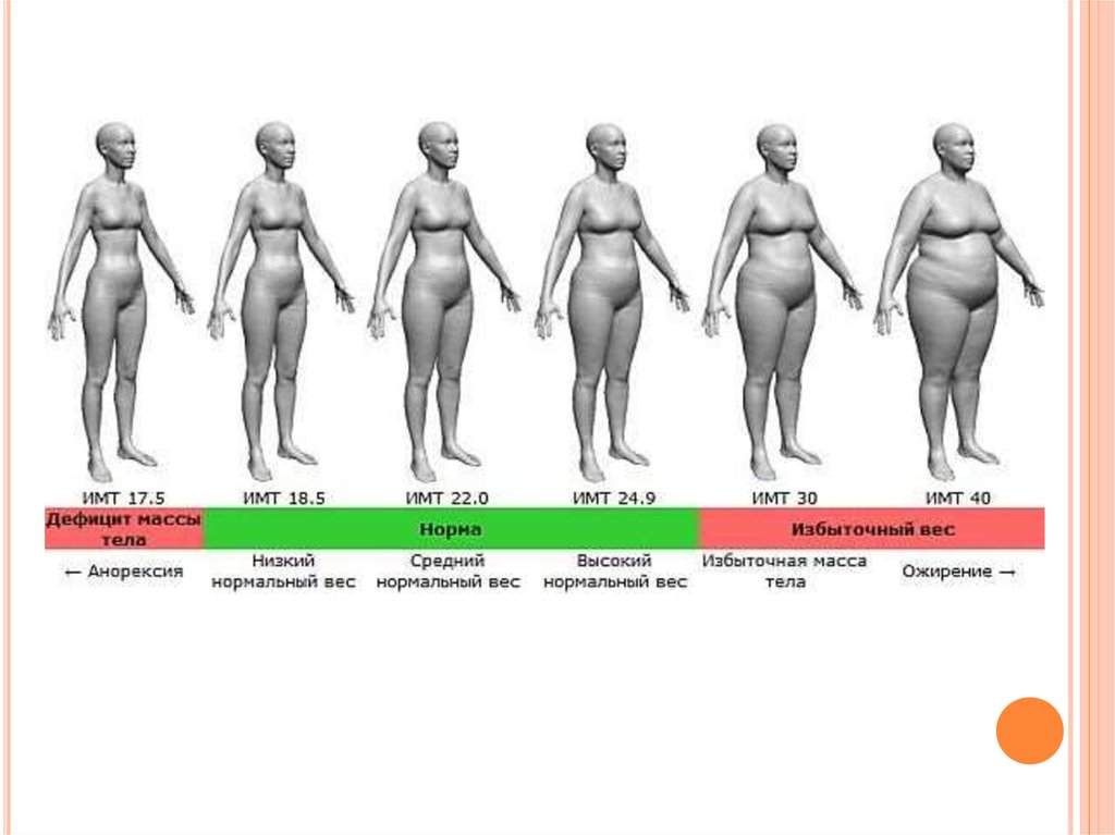 Заболевание низкий вес. Масса и вес тела. Анорексия индекс массы. Предожирение ИМТ. ИМТ ожирение.