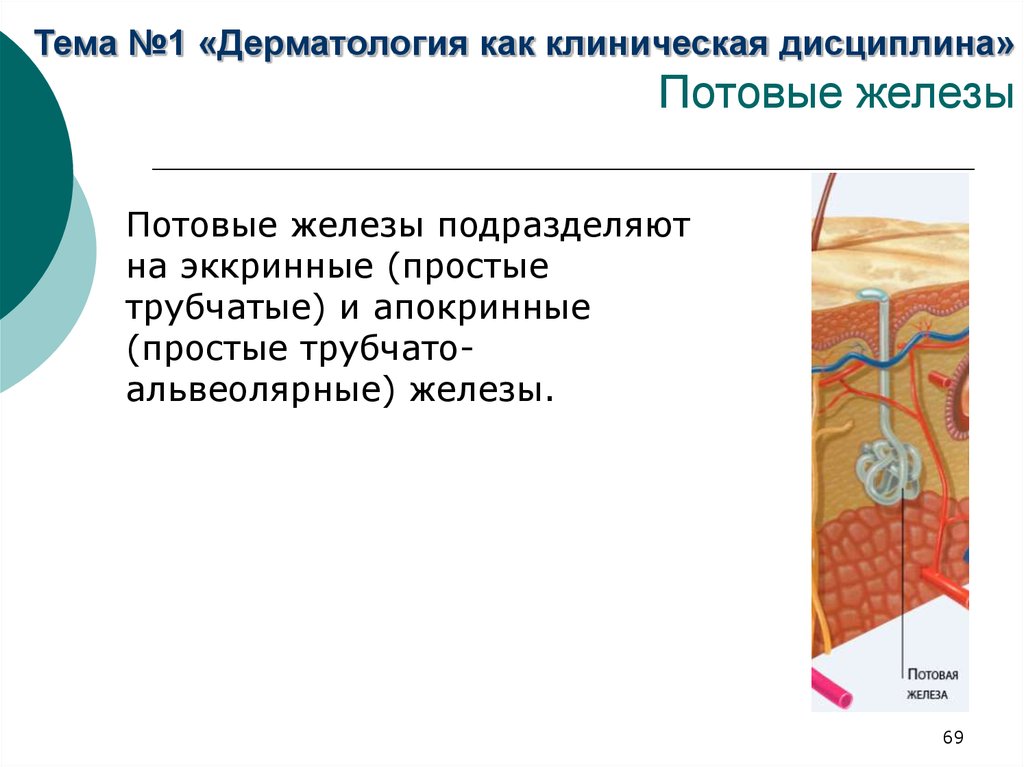 Дерматология животных презентация