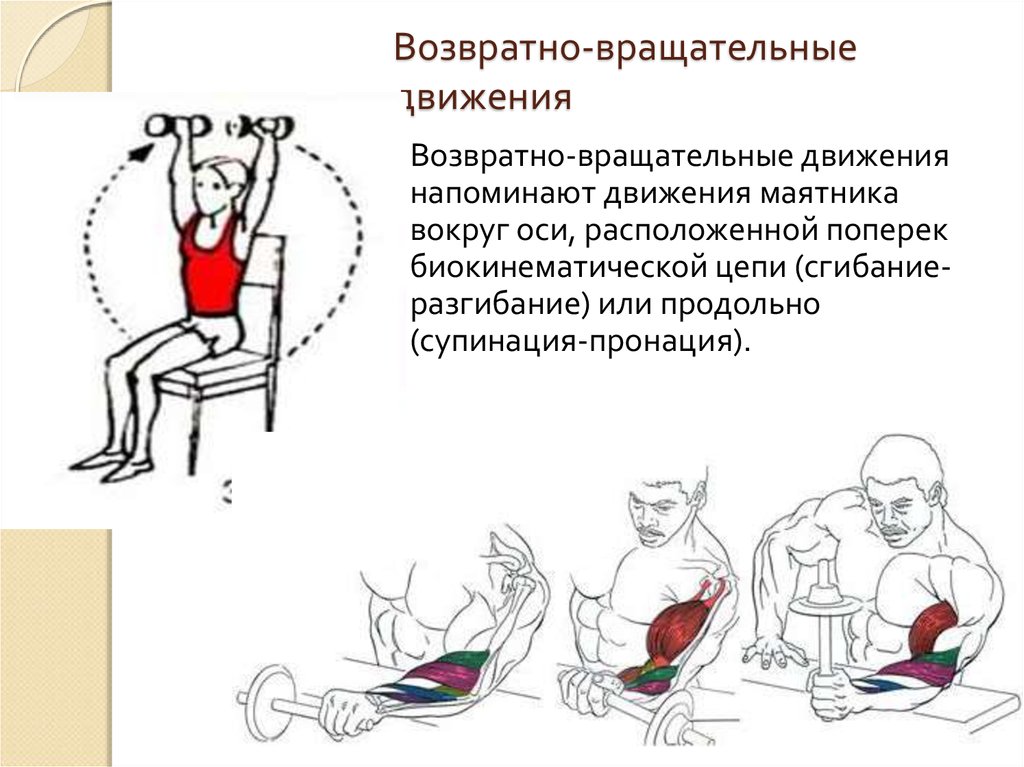 Локомоторные движения презентация