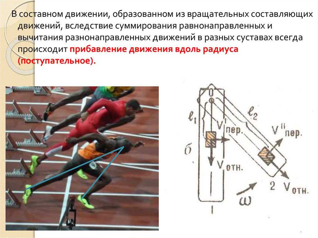 Составляющие движения. Составные движения в биокинематических цепях. Составные движения биомеханических. Биокинематические цепи в биомеханике. Поступательное движение биомеханика.