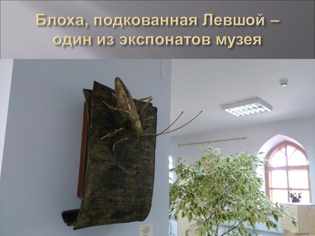 Блоха, подкованная Левшой – один из экспонатов музея