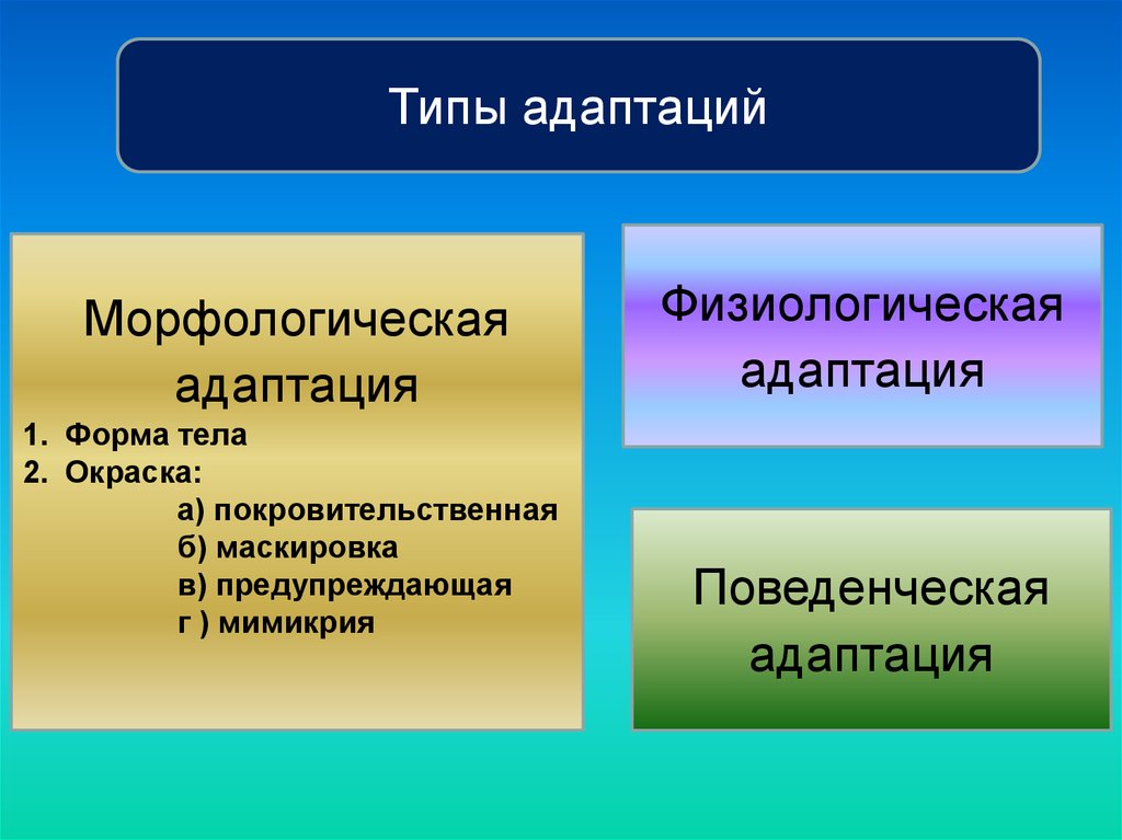 Виды приспособлений. Типы адаптации. Морфологические адаптации. Типы морфологических адаптаций. Морфологические физиологические и поведенческие адаптации.