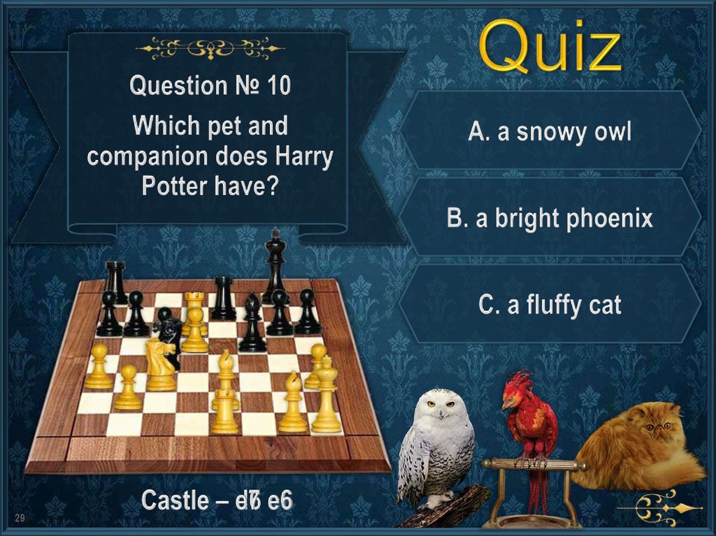 Quiz