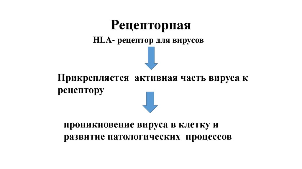 Рецепторная