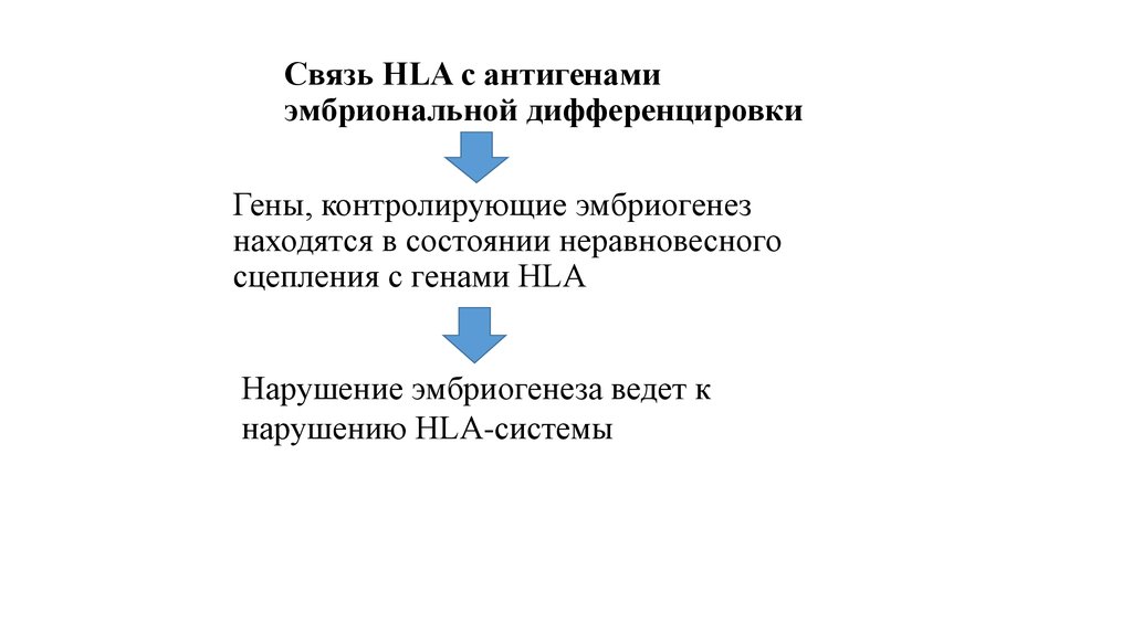 Связь HLA с антигенами эмбриональной дифференцировки