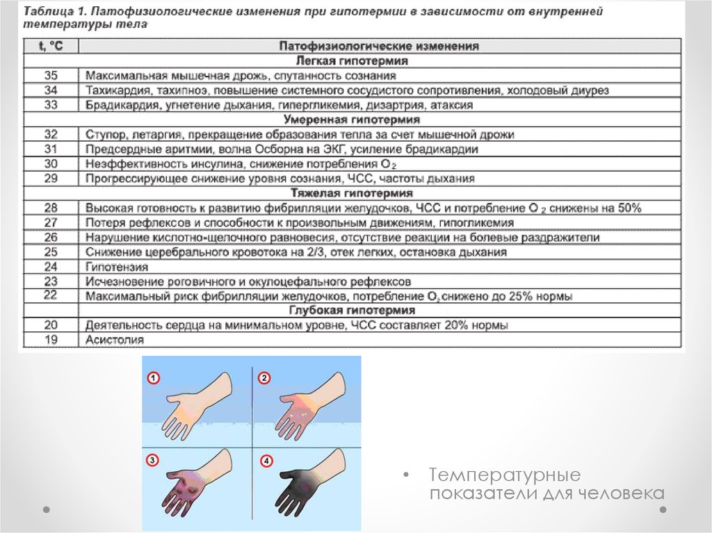 Карта вызова гипертермия