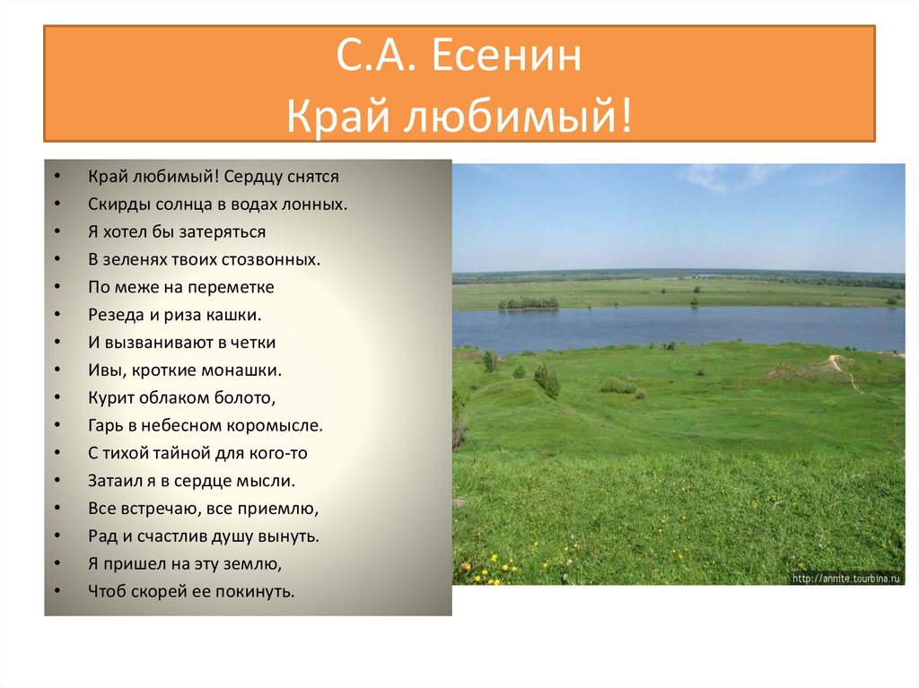 Анализ стиха топи да болота. Стихотворение Есенина край любимый сердцу снятся. Стих Есенина край любимый. Стихи Есенина о родном крае. Край любимый Есенин.