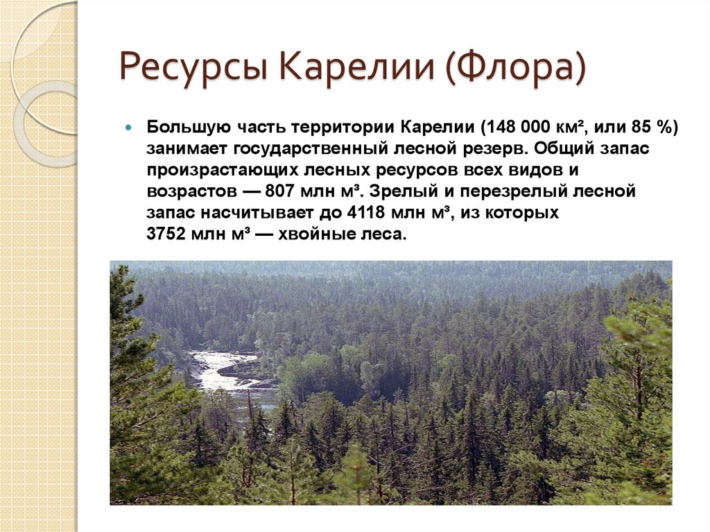 Естественно республика. Природные ресурсы Карелии. Ландшафтные ресурсы Республики Карелия. Природные богатства Карелии. Природные богадство Карелии.