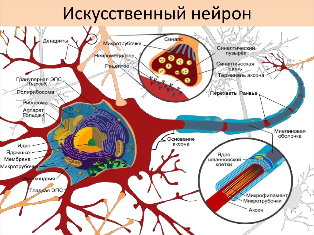 Искусственный нейрон