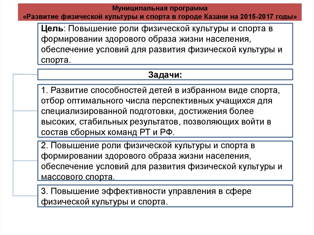 Муниципальная программа «Развитие физической культуры и спорта в городе Казани на 2015-2017 годы»