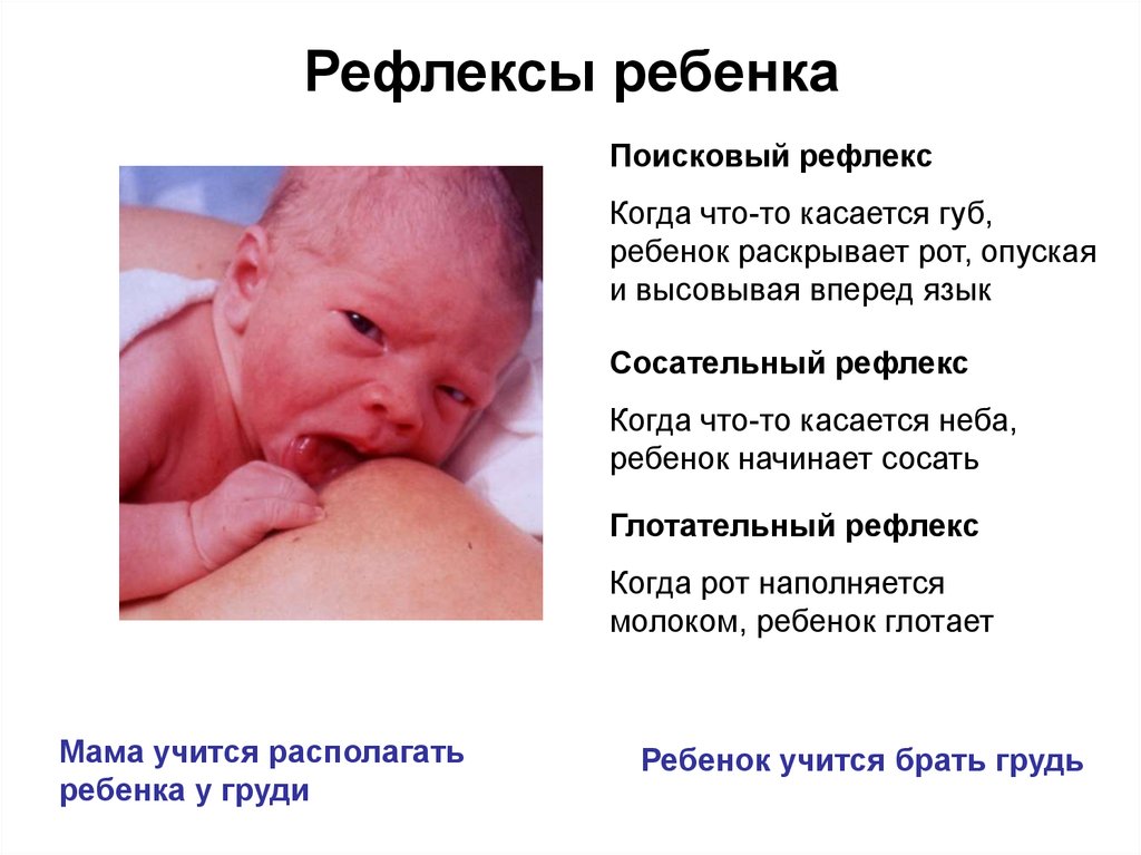 Почему новорожденный не берет. Поисковый рефлекс новорожденного. Рефлексы у детей. Рефлекс сосания у новорожденного ребенка.