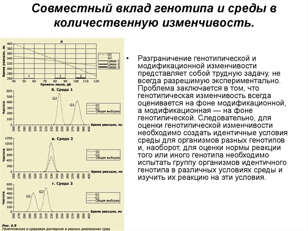 Модификационная изменчивость пименов презентация