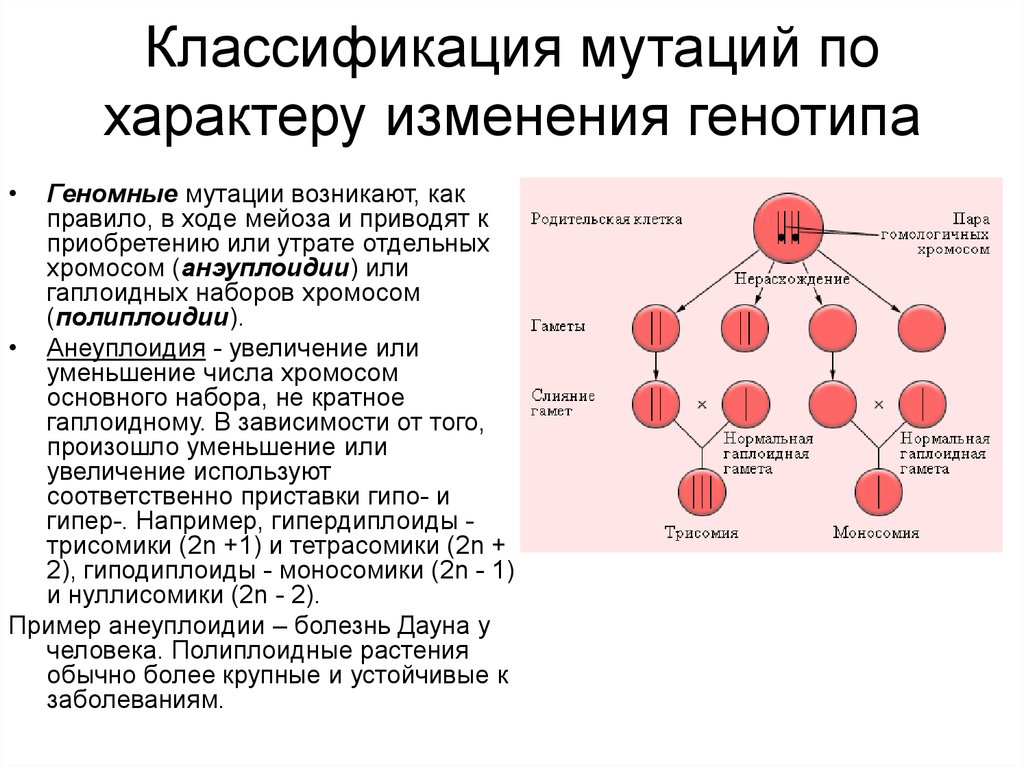 Мутационные изменения возникают. Классификация мутаций по характеру изменения генотипа. Мутации, классифицированные по характеру изменения генотипа. Классификация мутаций по изменению генотипа. Классификация мутационной изменчивости.